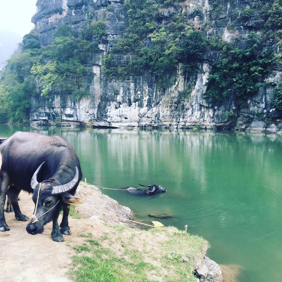 Mai'S Homestay Trang An Νιν Μπιν Εξωτερικό φωτογραφία