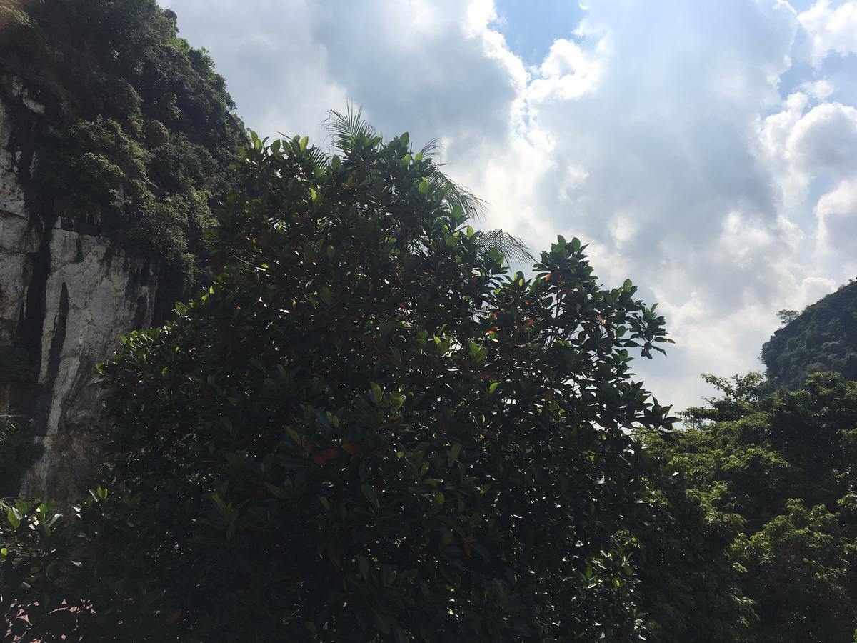 Mai'S Homestay Trang An Νιν Μπιν Εξωτερικό φωτογραφία