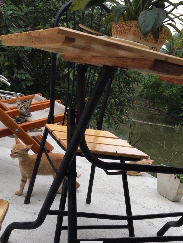 Mai'S Homestay Trang An Νιν Μπιν Εξωτερικό φωτογραφία